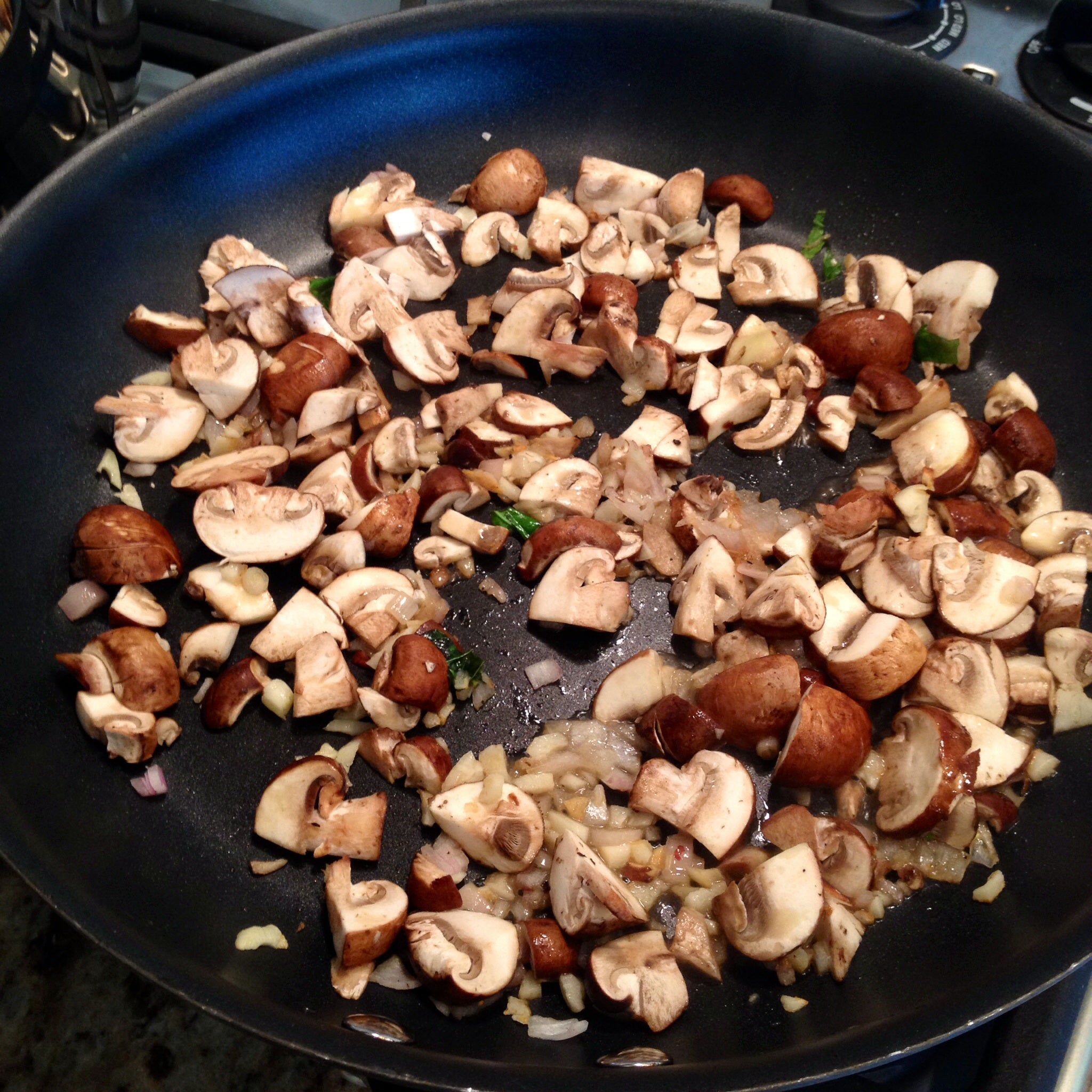 Mushrooms 1lb / 16oz / 4 servings